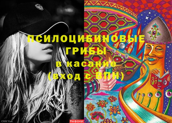 дурь Россошь
