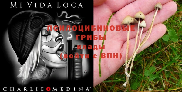 дурь Россошь