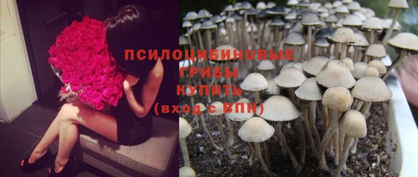 дурь Россошь