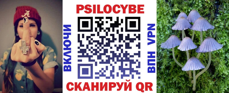 Купить где Карачев Галлюциногенные грибы мухоморы