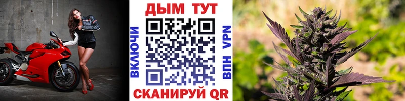 Канабис сатива Купить закладки Карачев